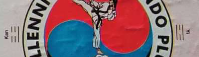 Main image of Millennium taekwondo plus