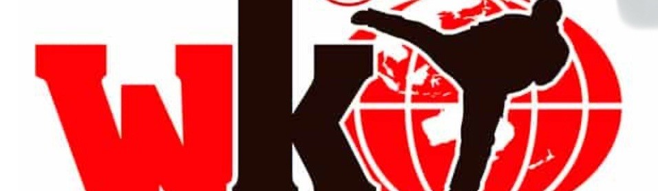Main image of Minnesota Shinkyokushinkai karate organization LLC