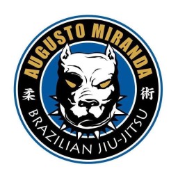 Main image of Miranda Fight Team