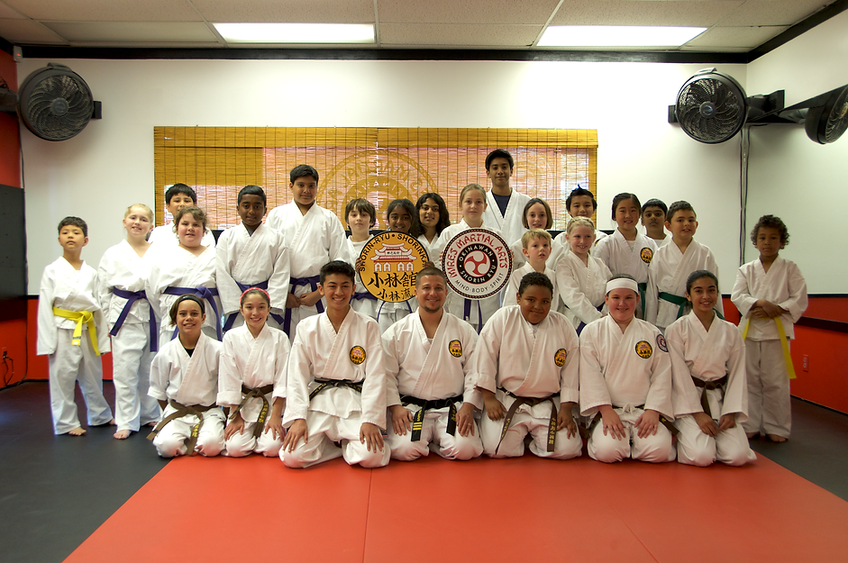 Main image of Mires Martial Arts