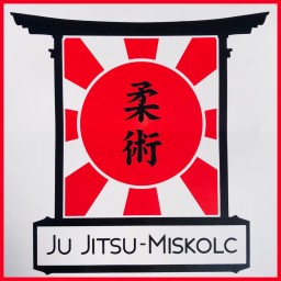 Main image of Miskolci Ju-Jitsu Egyesület