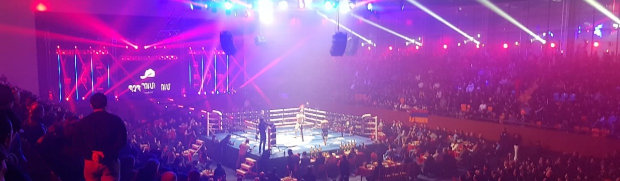 Main image of MIX FIGHT EVENTS