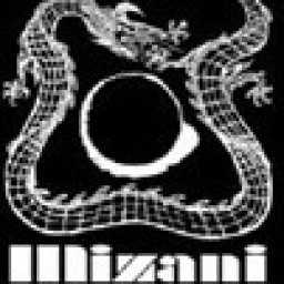 Main image of Mizani Fighting Arts