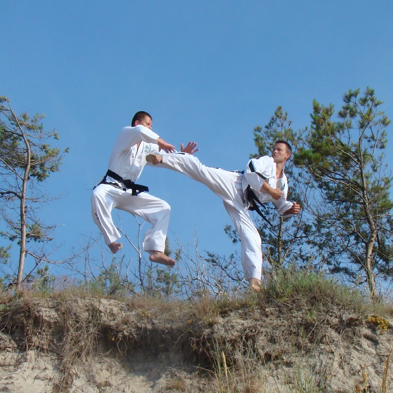 Main image of MKS "TAEKWON-DO" Mińsk Maz.