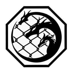 Main image of Mma Academy Zadar