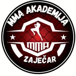 Main image of MMA Akademija 019
