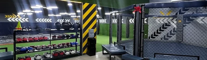Main image of MMA BOX