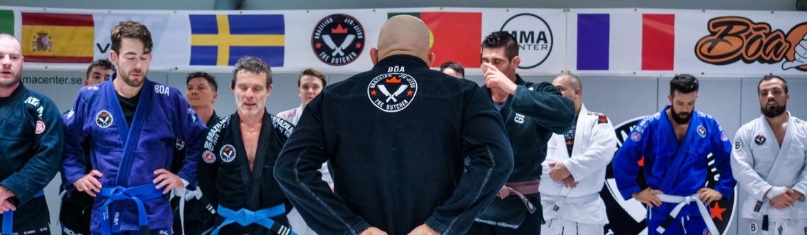 Main image of MMA Center IF