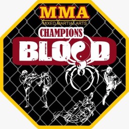 Main image of MMA CHAMPIONS BLOOD