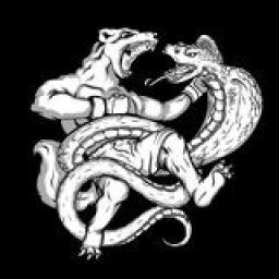 Main image of MMA CLUB MANGUST ХРИСТИНІВКА