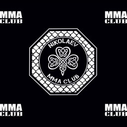 Main image of MMA Club Nikolaev