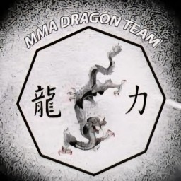 Main image of Mma Dragon Team