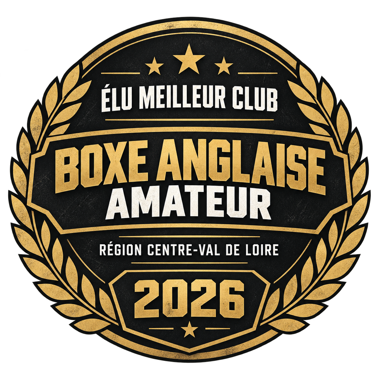 Main image of MMA Fight Club Gym