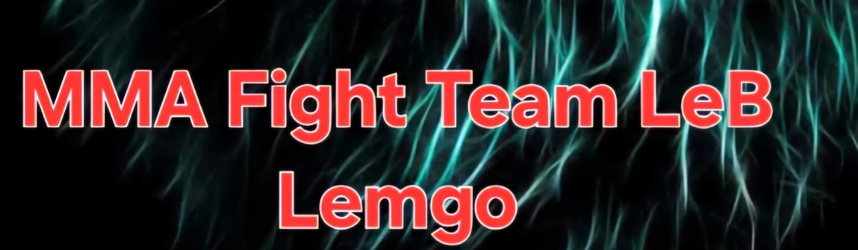 Main image of MMA Fight Team LeB