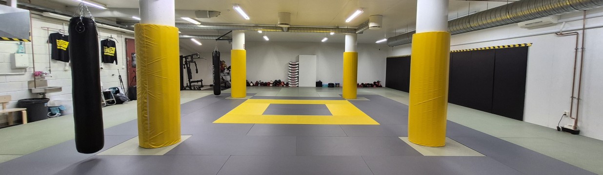 Main image of MMA Hämeenlinna