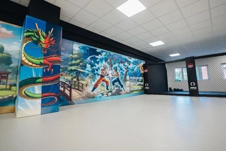Main image of MMA KLATKI