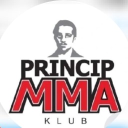 Main image of MMA klub Gavrilo Princip