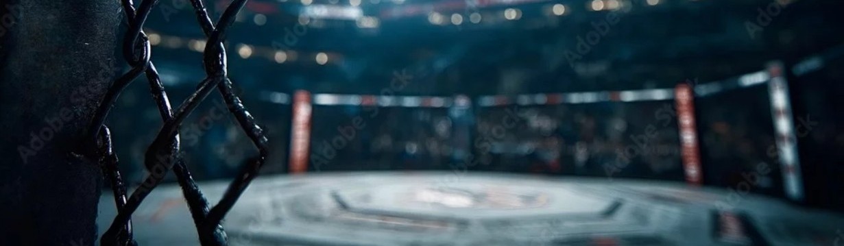 Main image of MMA KOMBAT