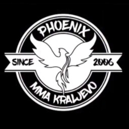 Main image of MMA Pheonix
