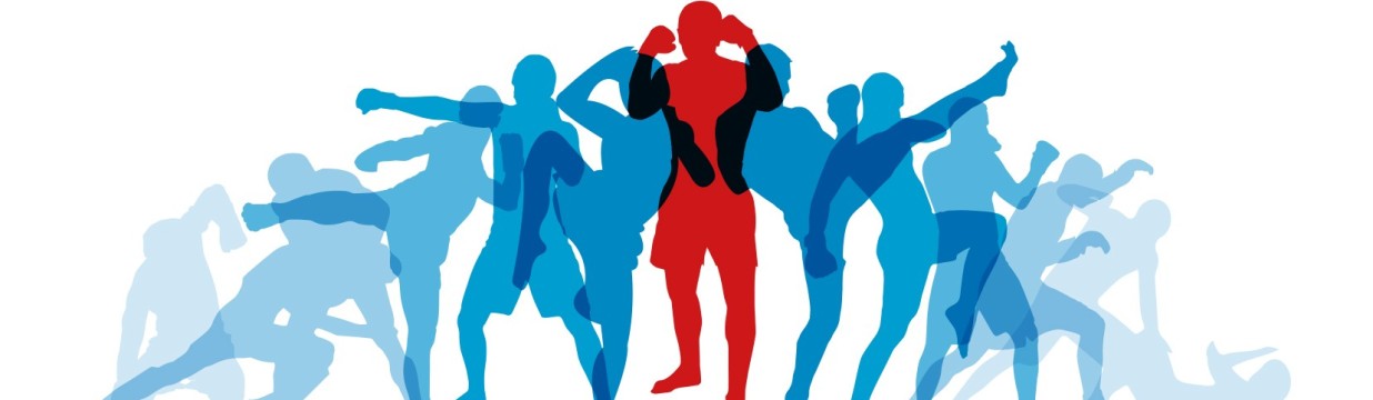 Main image of MMA POLAND ASSOCIATION