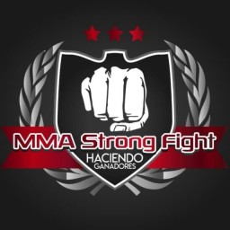Main image of MMA STRONG FIGHT