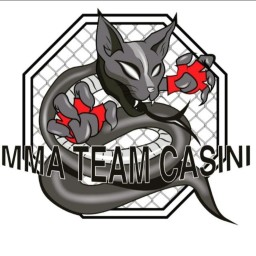 Main image of MMA TEAM CASINI