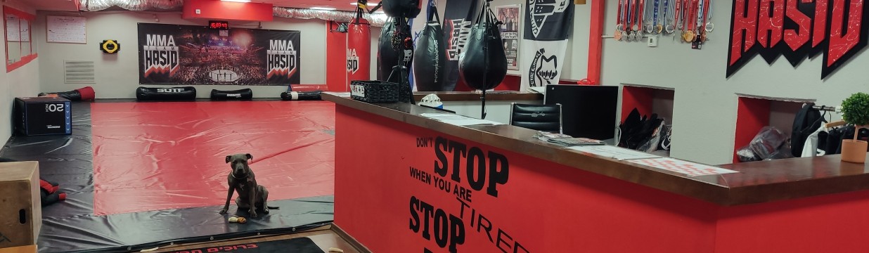 Main image of MMA TEAM HASID