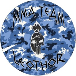 Main image of MMA TEAM LEOTHOR