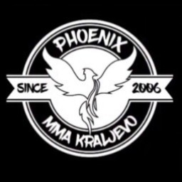 Main image of MMA Team Phoenix