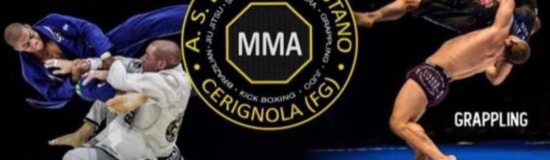 Main image of MMA TEAM TRISTANO