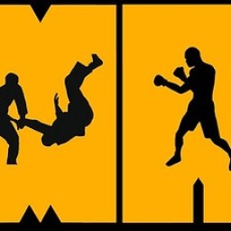 Modern Martial Arts & Fitness