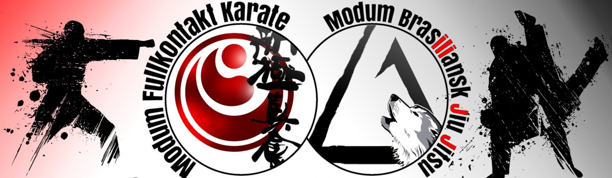 Main image of Modum Karateklubb v/Tony Rytter