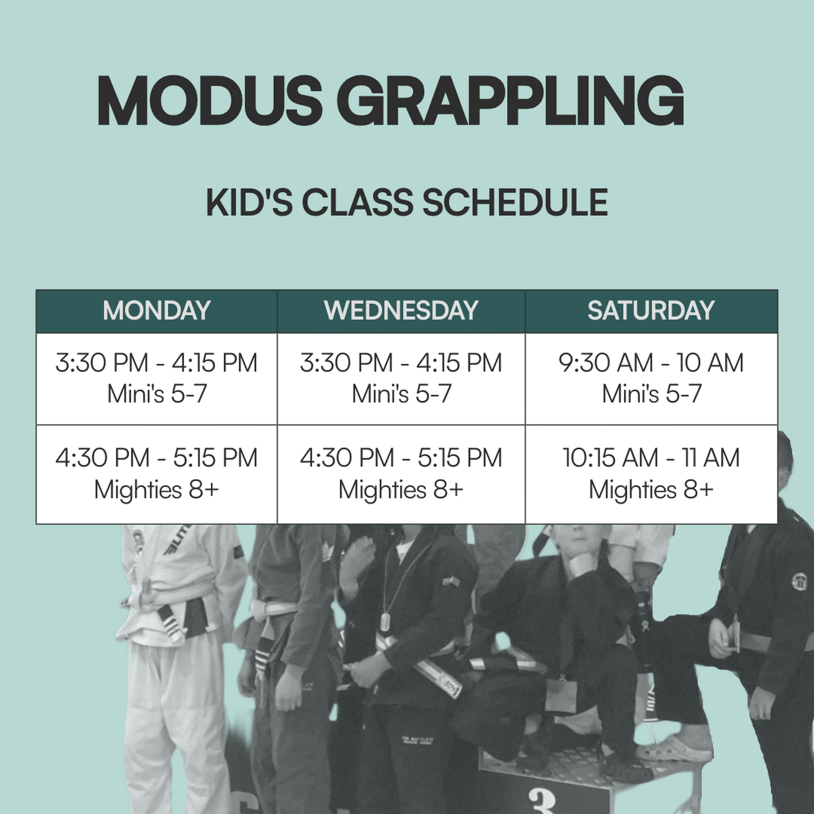 Main image of Modus Grappling