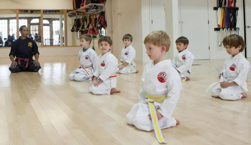 Main image of Mojo Dojo Karate