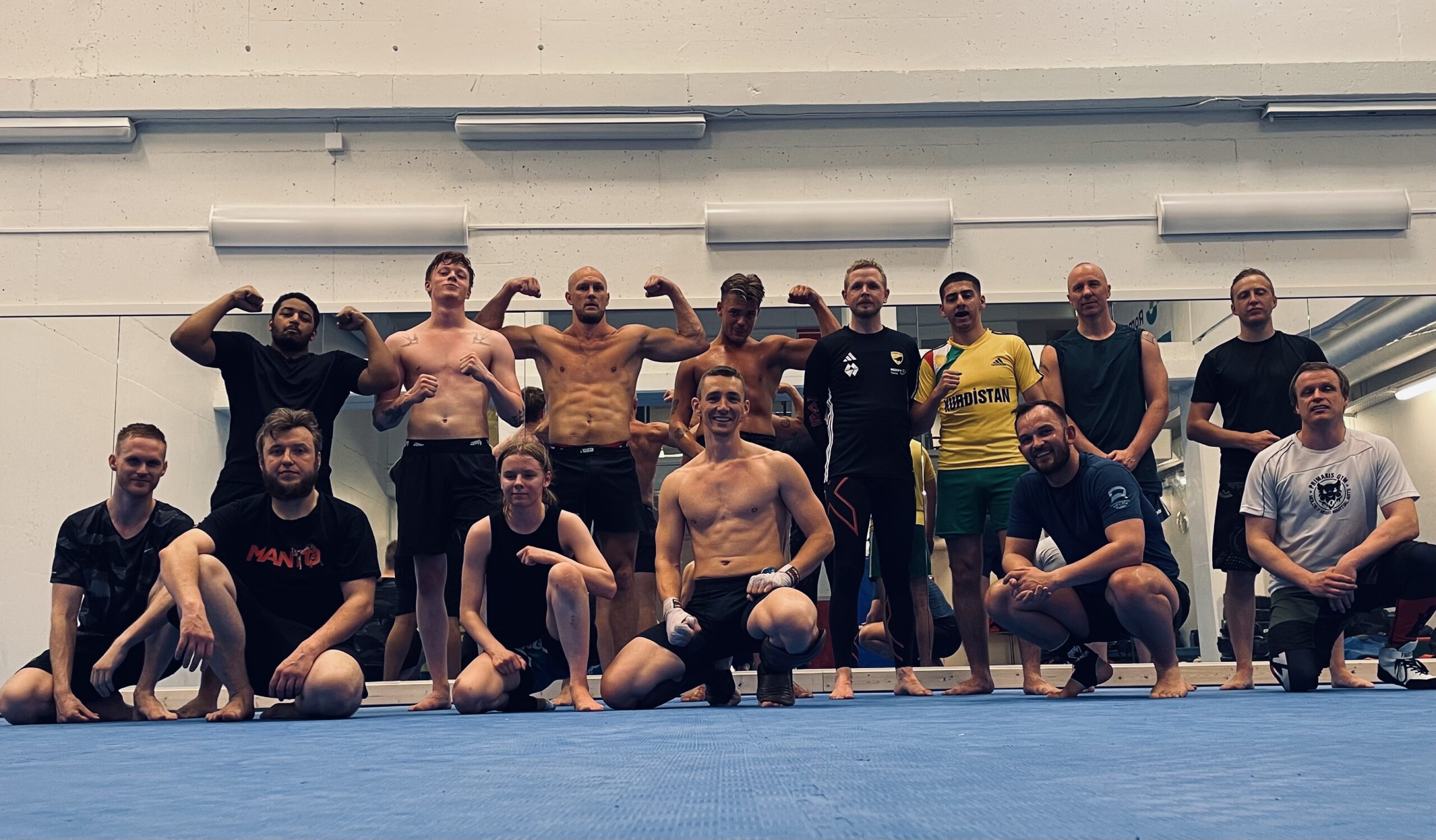 Main image of Molde MMA