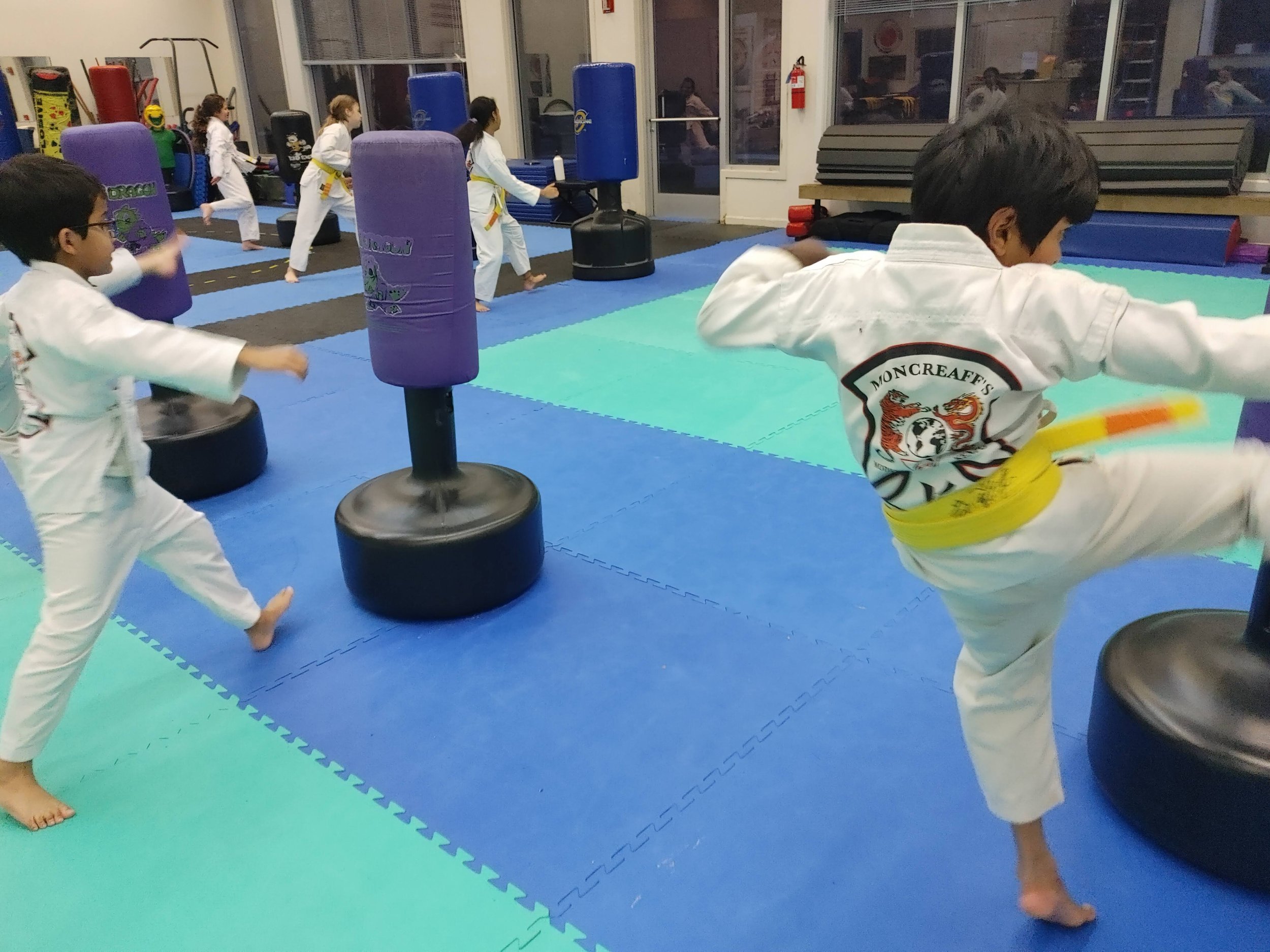 Main image of Moncreaff's Martial Arts, Yoga And Fitness