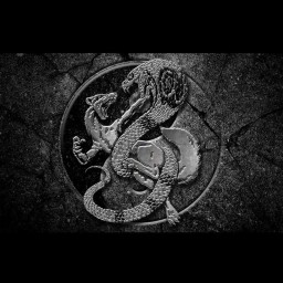 Main image of Mongoose BJJ