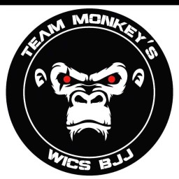 Main image of MONKEYSJITS WICS