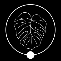 Main image of Monstera