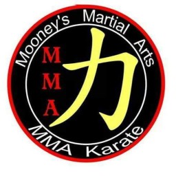 Main image of Mooneys Martial Arts