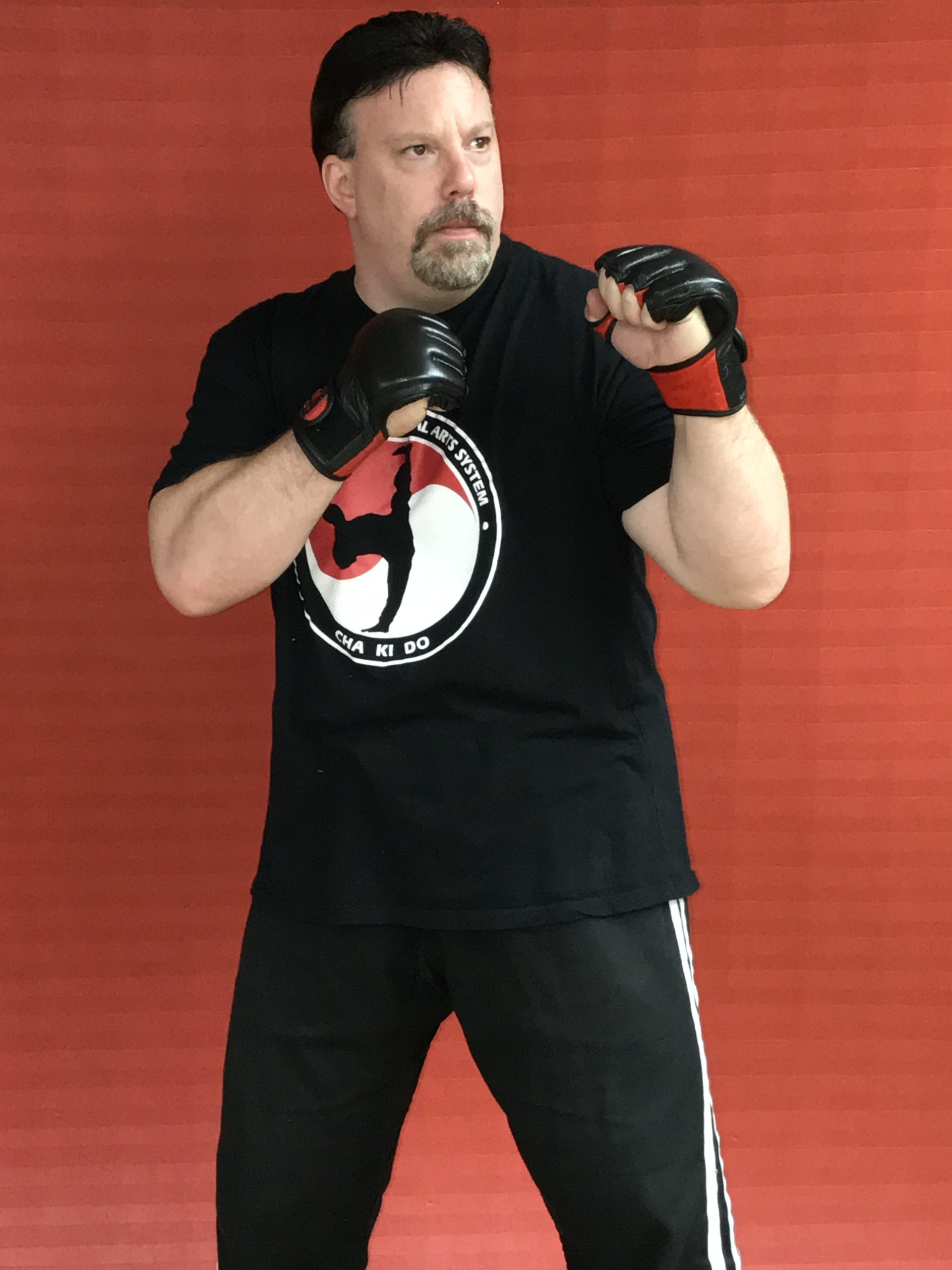 Main image of Mormando Martial Arts