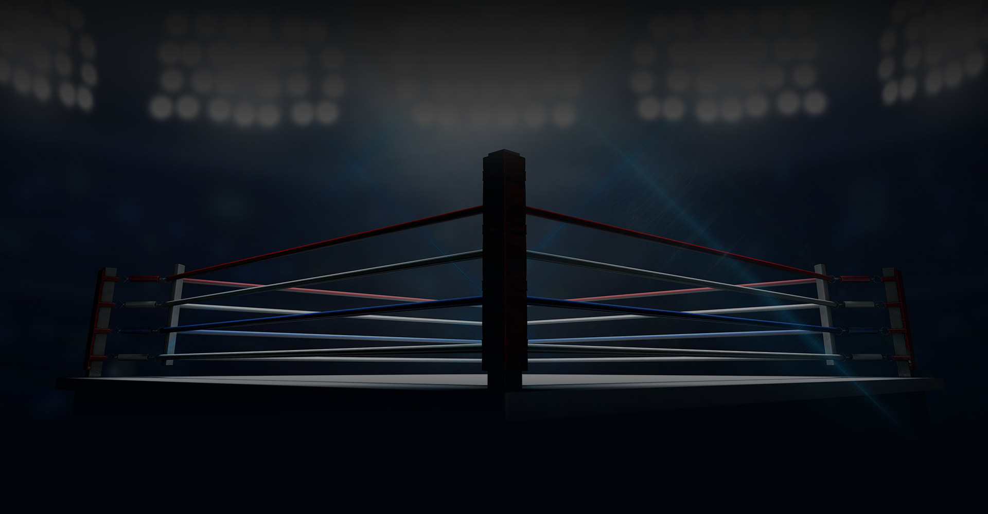 Main image of Morris Park Boxing Club