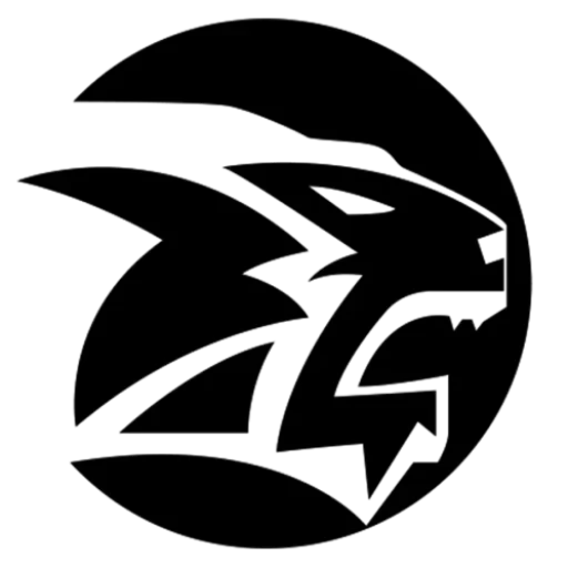 Morumbi Jiu Jitsu & Fitness Academy - Simi Valley