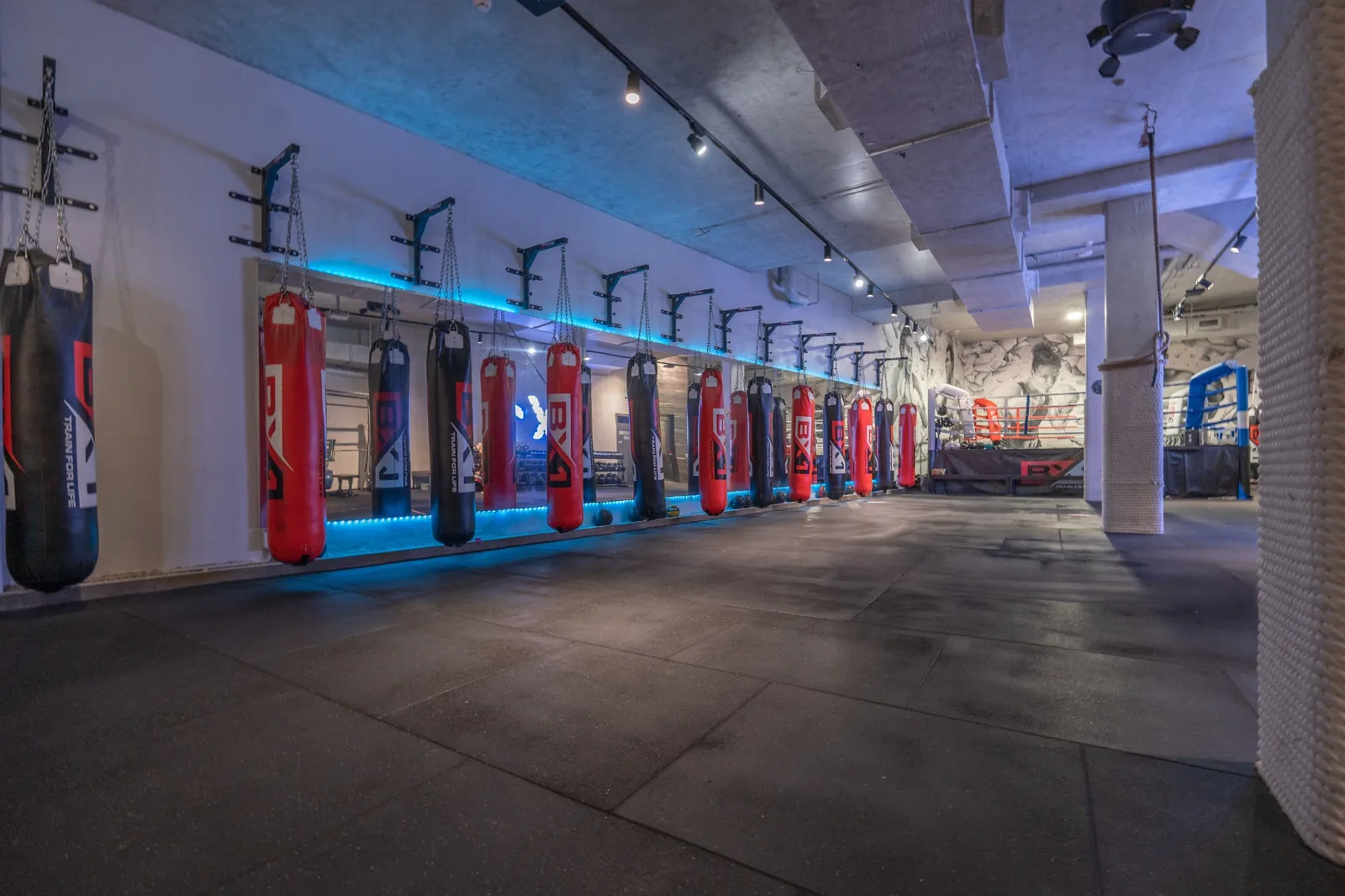 Main image of Mosman Martial Arts Academy