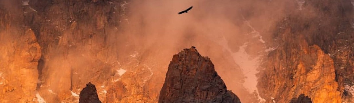 Main image of Mount