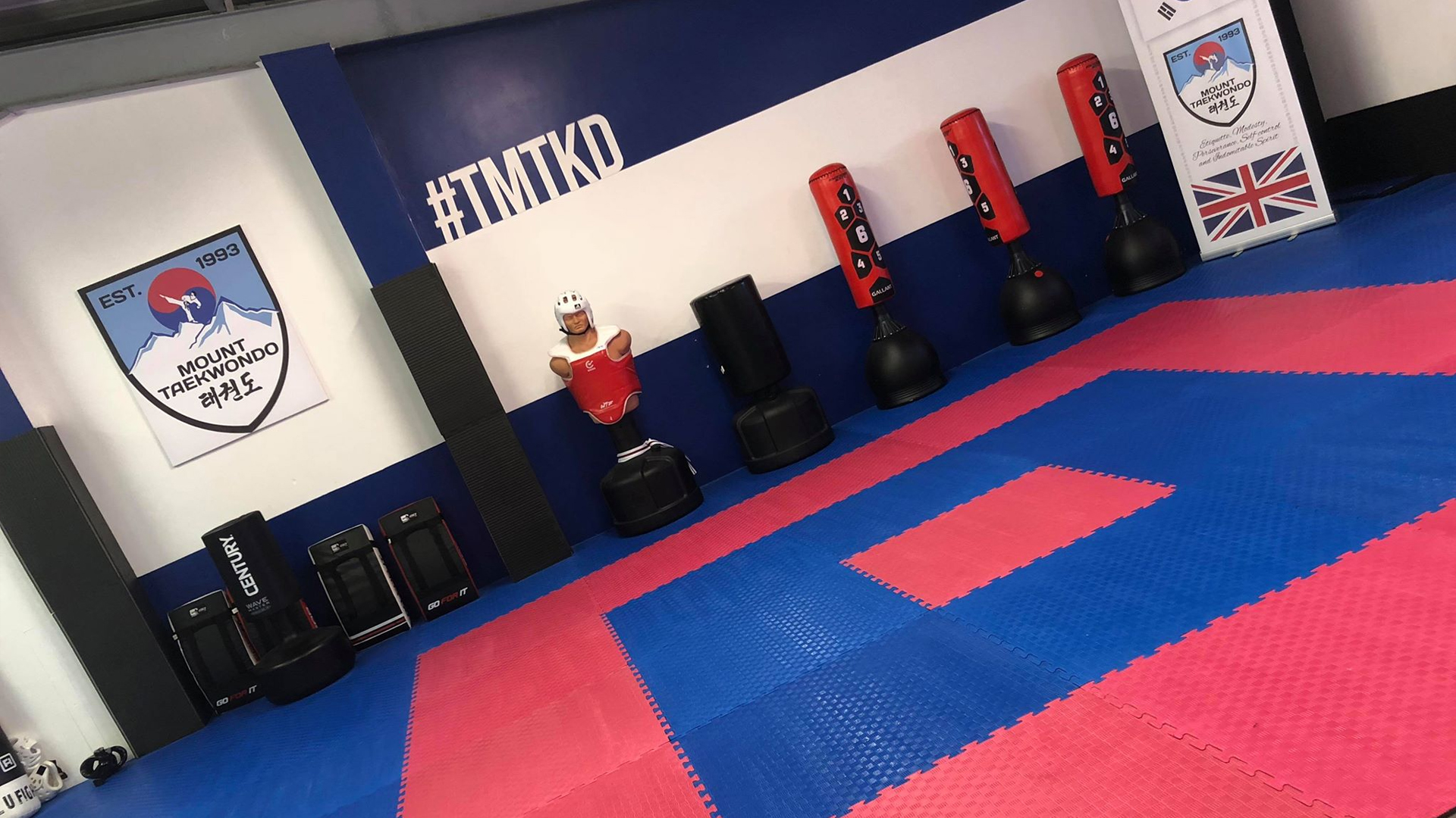 Main image of Mount Taekwondo Club