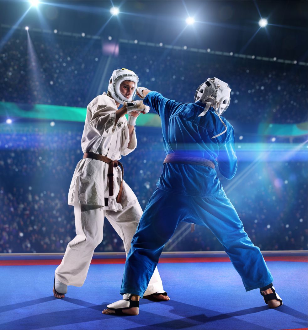 Main image of Mountain-Kim Martial Arts