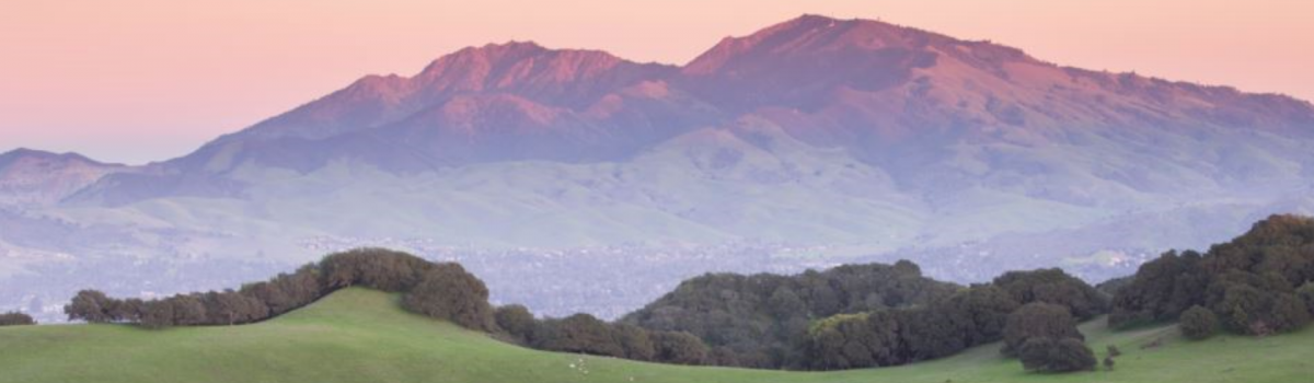 Main image of Mt. Diablo Jiu Jitsu