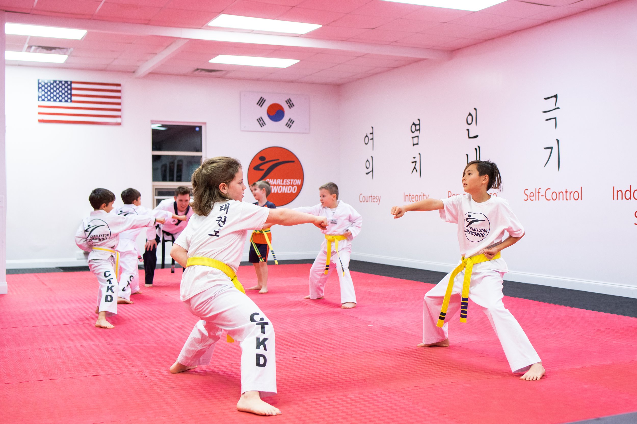 Main image of Mt Pleasant Martial Arts