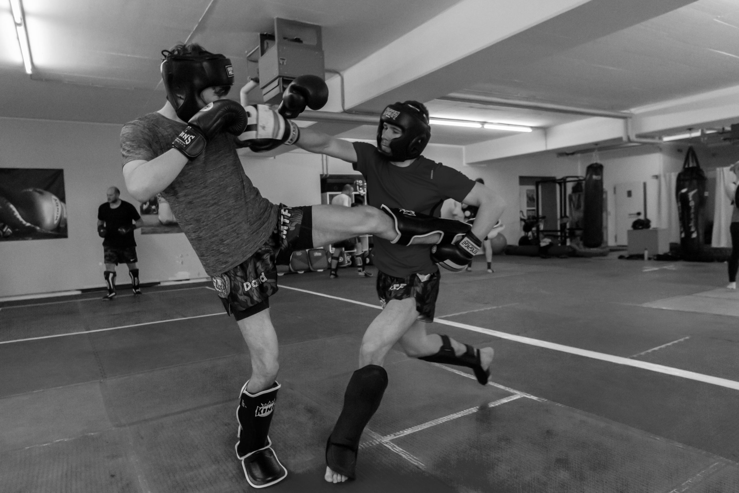 Main image of Muay Thai Freunde Freising